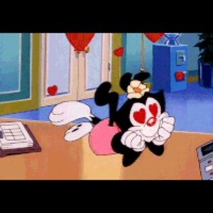 Meet your Posher, Lexi